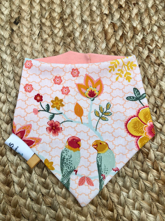 Bandana oiseaux
